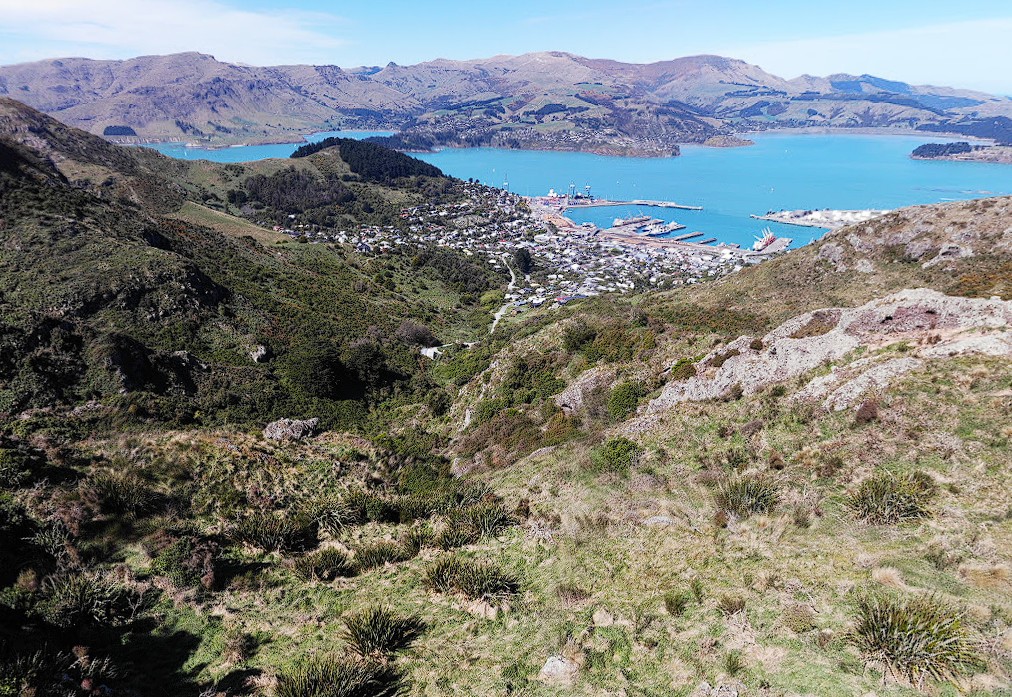 Rocky outcrop on Summit Road above Lyttelton, looking over Whakaraupō.